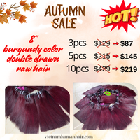 DEAL 8" BURGUNDY COLOR DOUBLE DRAWN FROM RAW HAIR