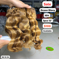 3pcs 12" Ocean wave double drawn highlight HL4 raw hair